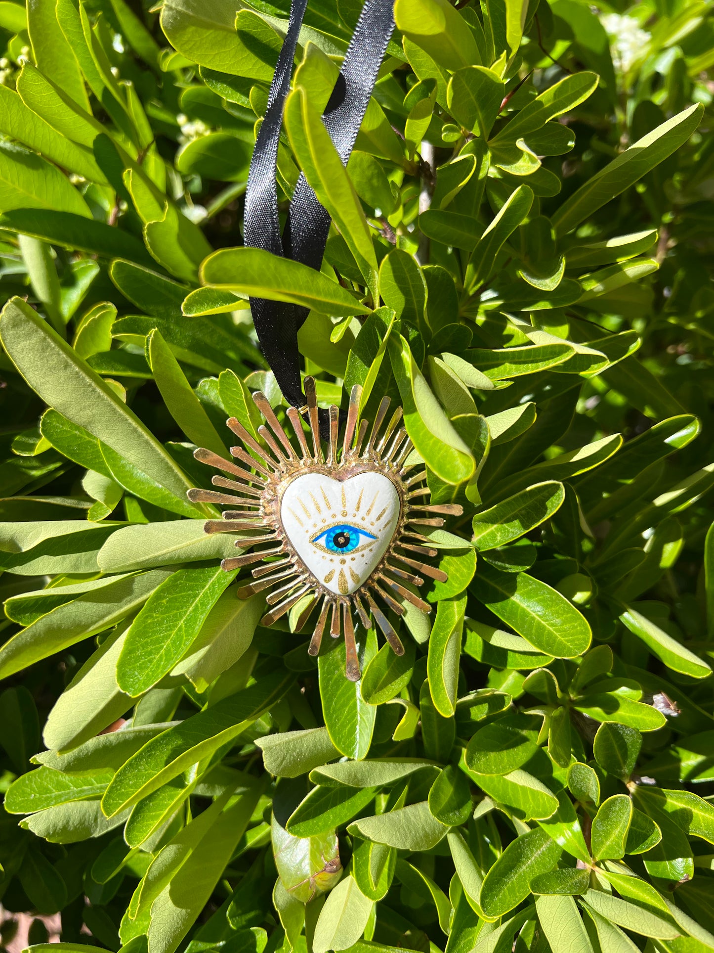 Ojo Blanco de Guanajuato