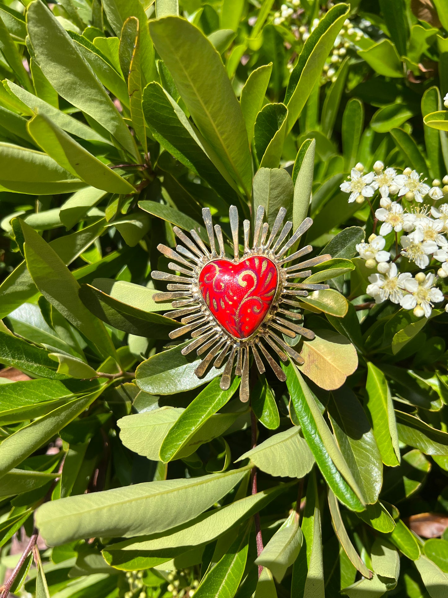 Rosa de Oro de Guanajuato